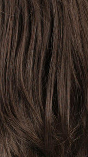 R6/10 | Chestnut Brown Blended With Medium Ash Brown