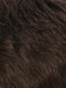 R6/10 | Chestnut Brown Blended With Medium Ash Brown
