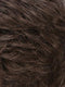 R6/10 | Chestnut Brown Blended With Medium Ash Brown