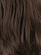 R6/10 | Chestnut Brown and Medium Ash Brown Blend