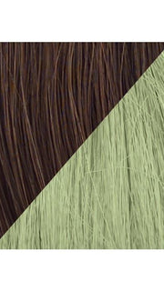 Color R6/30H-GREEN = Chocolate Copper tipped with Green