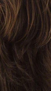 R6LF29 | Chestnut Brown Lightening to Bright Red Mix in Front