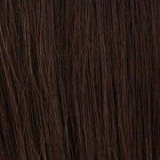 R6 | CHESTNUT BROWN