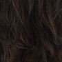 R6 | Chestnut Brown