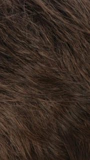 R8/12 | Golden Brown and Light Brown Blend