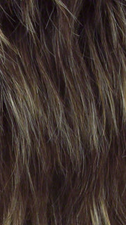 Color R8/25 = Golden Walnut: Rich, Dark Brown with Gold Blonde Highlights