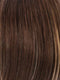 RM8/26H | Golden Brown with Golden Blonde Highlights