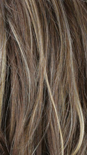 R8/26H | Golden Brown w/Golden Blonde Highlights