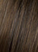 R829S GLAZED HAZELNUT | Rich Medium Brown with Ginger Highlights on Top