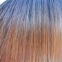 Color RD27R = Lt Auburn Rooted Dark	