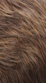 RH268 | Golden Brown w/Copper Blonde Highlights