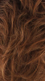 Color RH31 = DARK AUBRUN TIPPED WITH 3 RED TONES