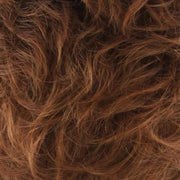 RH31 | Dark Auburn tipped w/3 Red Tones