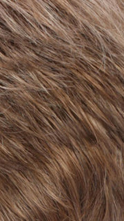 RJ20/27/10 | Light Strawberry Blonde with Light Auburn and Medium Ash Brown