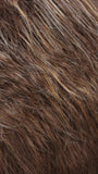 RM8/26H | Golden Brown w/Golden Blonde Highlights