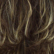 R8/14 | Golden Brown Blended With Dark Blonde