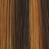 RM8LF26 | Golden Brown Lightening to Blonde Mix in Front