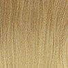 R01422 = CHAMPAGNE-OMBRE: Begins at the root with a Dark Blonde, gradually getting lighter toward the ends with a Pale Blonde shade