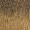 R01426 = CARAMEL-OMBRE: Begins at the root with a Dark Blonde, gradually getting lighter toward the ends with a Gold Blonde shade