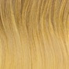 R01625 = BUTTERSCOTCH-OMBRE: Begins at the root with a Dark Blonde, gradually getting lighter toward the ends with a lighter Ginger Blonde shade