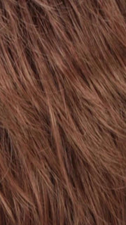RT27/30 | Light Auburn Tipped with Medium Auburn