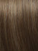 R12/26H HONEY PECAN | Light Brown with Cool Subtle Medium Blonde highlights