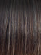 CHOCOLATE-FROST | Dark Brown Base with Honey Blonde and Platinum highlights