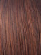CHESTNUT | Dark and Bright Auburn Evenly Blended