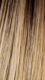 SS14/88 ROOTED GOLDEN WHEAT | Medium Blonde streaked with pale Gold highlights and dark roots