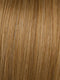 R14/25 = HONEY GINGER: Dark Golden Blonde with light Gold highlights