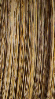 R11S+ GLAZED MOCHA | Medium Brown with Gold Blonde highlighting on top 