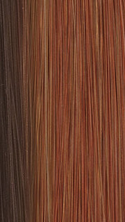 6/28 | Dark Brown Bright Auburn Highlight 