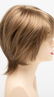 MOCHA-FROST | Light Brown blended with Golden Blonde
