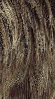 Color SS14/25 = Honey Ginger: Dark golden blonde with light gold highlight, medium brown roots