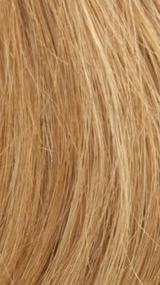 14/27/25 SUN KISSED BLONDE | Light Brown Blended w. Light Red & Blonde Tones