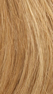 14/27/25 SUN KISSED BLONDE | Light Brown Blended with Light Red and Blonde Tones
