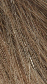 SUNNY ASH FROST | Dark Brown Root and Ash Blonde Blended with Sunny Blonde Tones