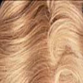 T102-16 Root and bottom half section is a well blended frosted effect of a pale white blend and a med. ash blonde. Ends graduate to a solid lt. whitish blonde.