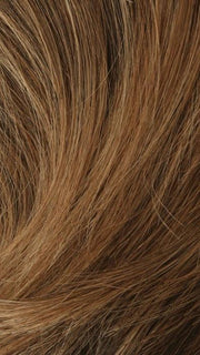 T27/33B DARK SHADE BLONDE | Dark Red Blended with Light Brown, Blonde, Red Tones, Brown, Blonde, Red Tip