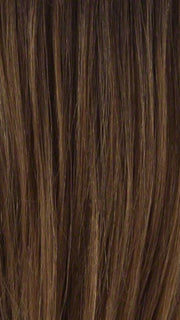 TP27/4 | Medium Dark Brown Highlight Streak with Honey Blonde Tip