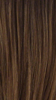 TP27/4 | Medium Dark Brown Highlight Streak with Honey Blonde Tip