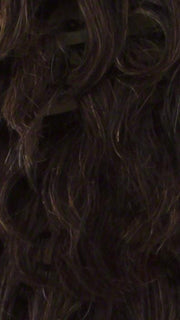 TP30/1B | Off Black Highlight Streak with Copper Blonde Tip