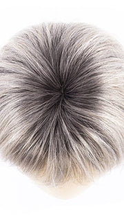 POLAR SILVER SHADED 60.101 | Pearl White and Pearl Platinum Blend with Shaded Roots