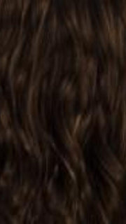 GOLDEN-BROWN-H | Golden Brown with Blonde Highlights