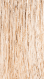 CHAMPAGNE ROOTED 16.25.26 | Medium Blonde and Lightest Golden Blonde with Lightest Ash Blonde Blend and Shaded Roots