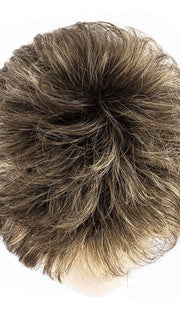 BERNSTEIN SHADED 8.19.12 | Medium Brown and Light Honey Blonde with Lightest Brown Blend and Shaded Roots
