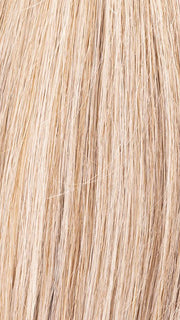CHAMPAGNE MIX 22.26.16 | Light Neutral Blonde, Light Golden Blonde, and Medium Blonde Blend