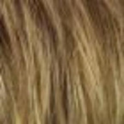 R13F25 PRALINE FOIL Neutral Medium Blonde with pale Gold highlights around the face