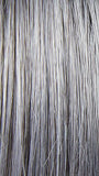 SILVER-SHADOW | Silver Grey with Light Brown lowlights