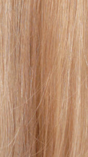 RH1488 | Dark Blonde with Lightest Blonde Highlights